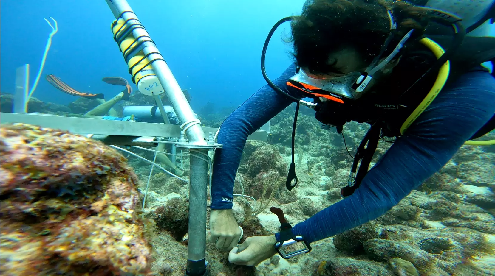 Fiexation of the Tripods on the Corral Reef