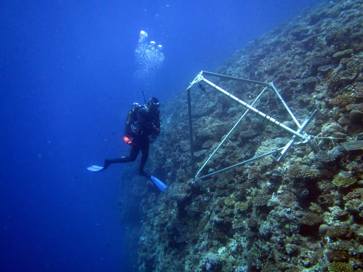 Overview of a tripod and diver